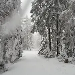 Casa vacanze In The Harz Mountains With 3 Bedrooms *