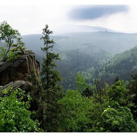 In The Harz Mountains With 3 Bedrooms * Bad Harzburg
