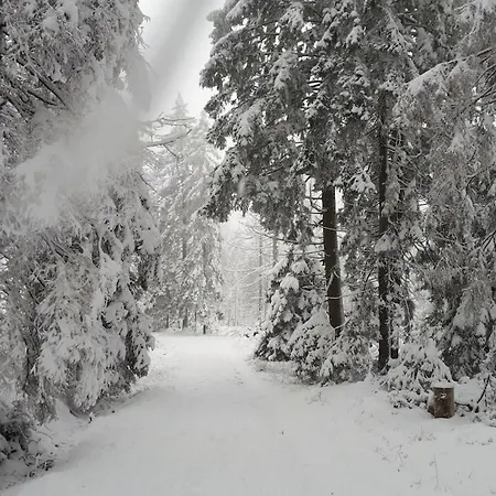 Dom wakacyjny In The Harz Mountains With 3 Bedrooms *