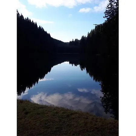 Dom wakacyjny In The Harz Mountains With 3 Bedrooms