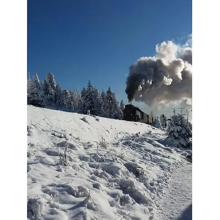 In The Harz Mountains With 3 Bedrooms *