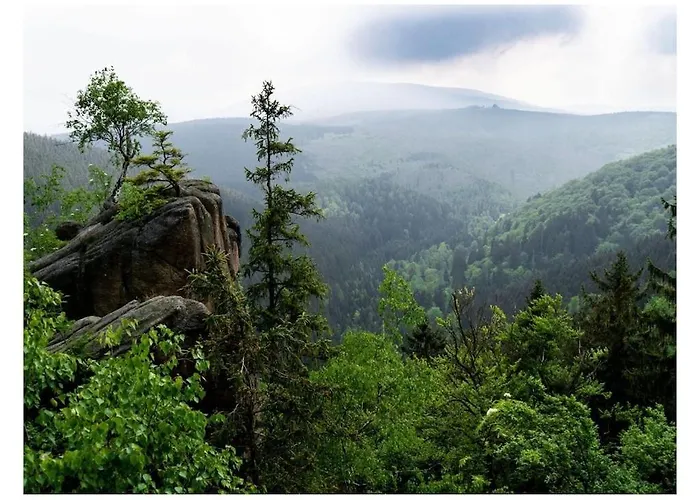 In The Harz Mountains With 3 Bedrooms * Bad Harzburg