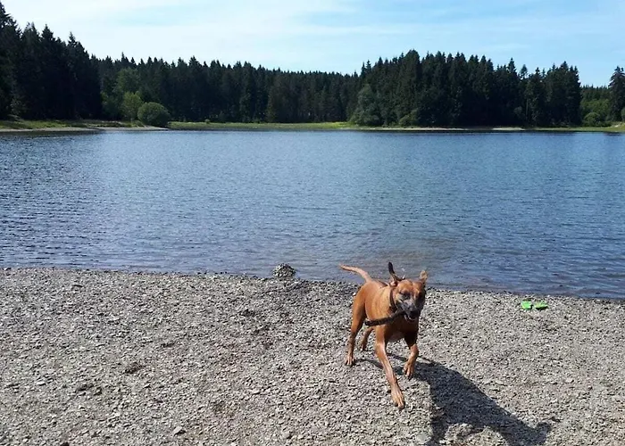 In The Harz Mountains With 3 Bedrooms Hébergement de vacances *