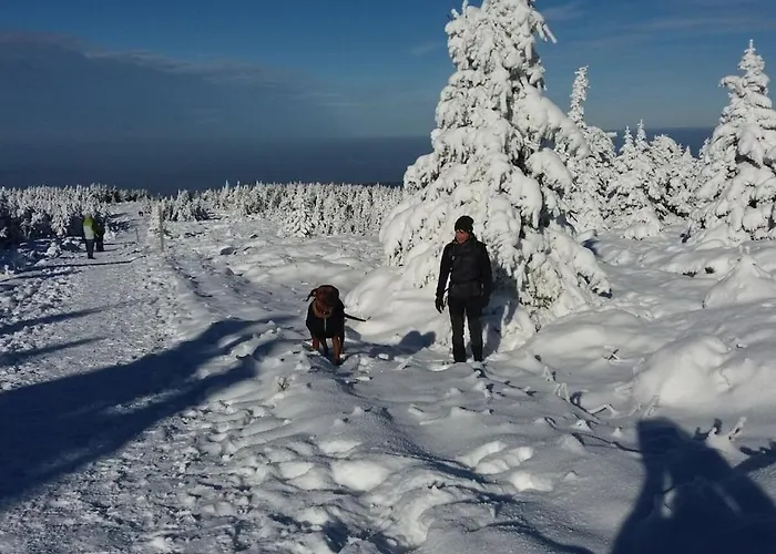 Hébergement de vacances In The Harz Mountains With 3 Bedrooms *