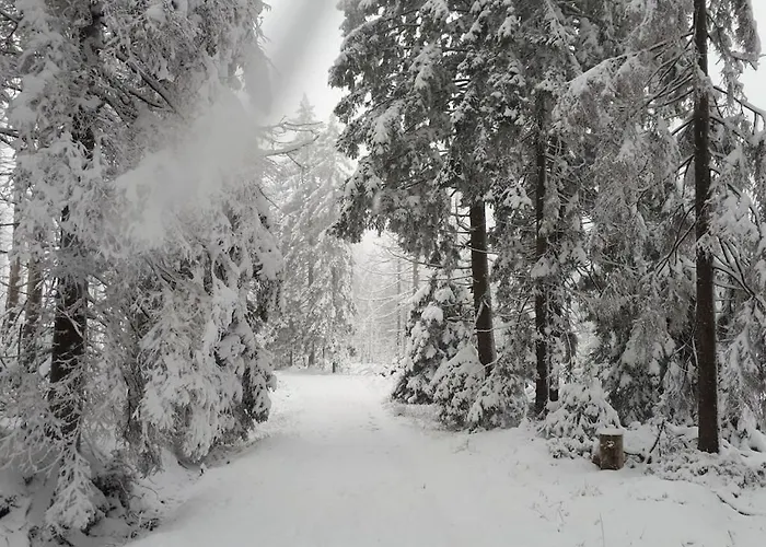 Hébergement de vacances In The Harz Mountains With 3 Bedrooms *