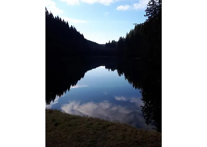 Hébergement de vacances In The Harz Mountains With 3 Bedrooms